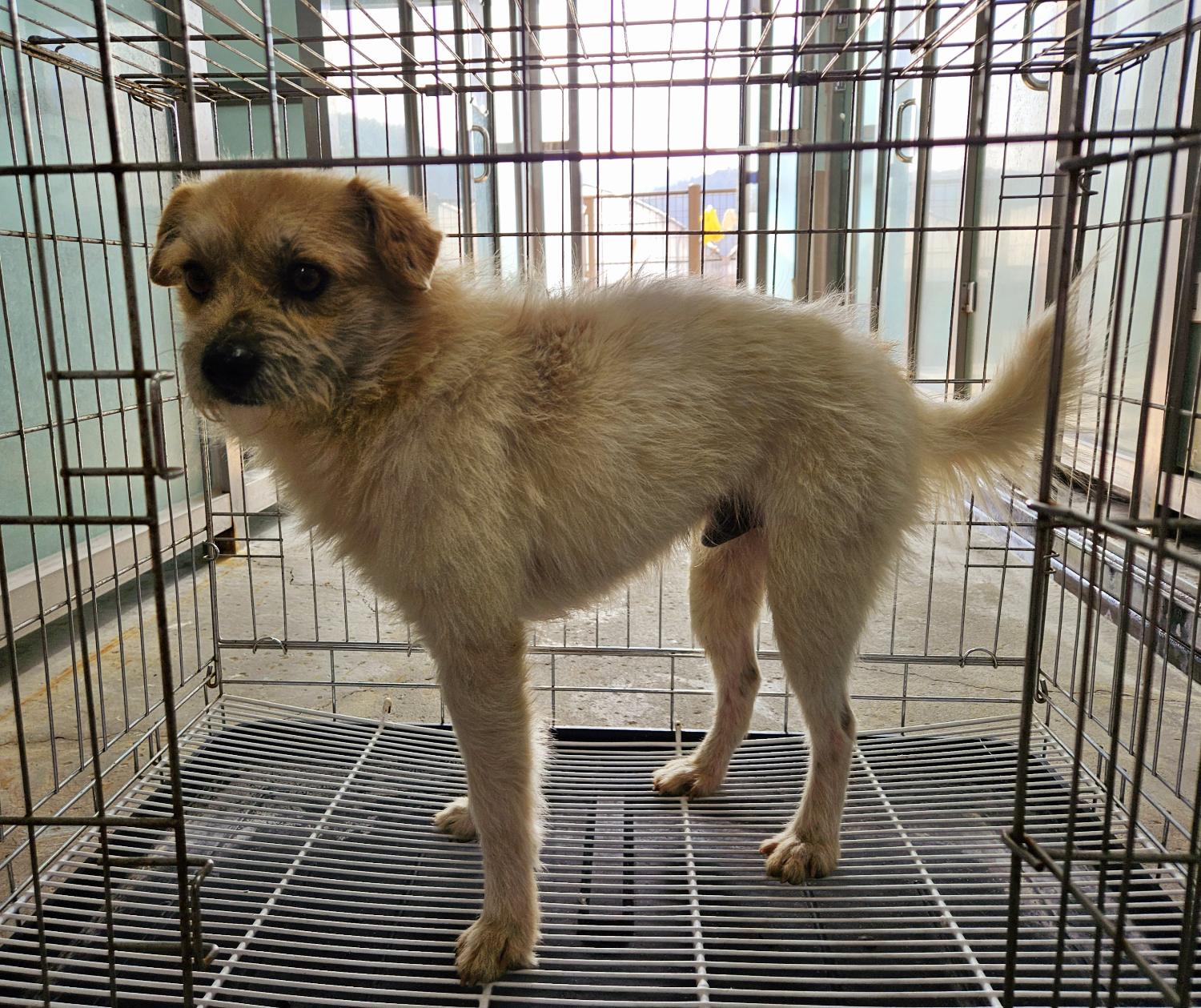 통영시동물보호센터_448533202400001